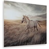 image:imageSignature Design by Ashley Errolville Glass Horse Wall Art 48x36